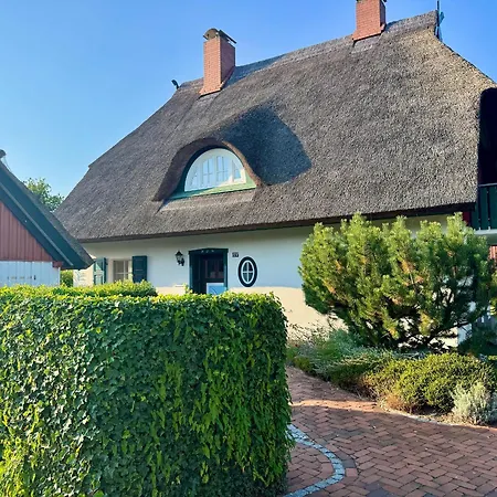 Chausseestrasse App 01 보른